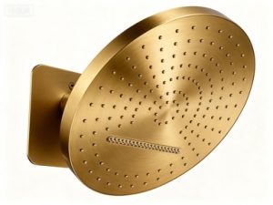 33729C0A-0A75-4FD3-ACCA-FF3B82850CE4_4_5005_c